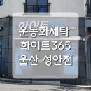 화이트365울산 이미지