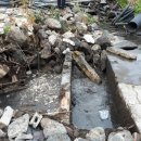 영장농장 이미지