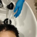 원주 두피케어 올리다 후기 | 탈모 고민으로 두피관리 후기