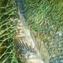 감천2동-10 이미지