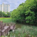 바른몸한방병원 이미지