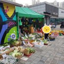 노상야채