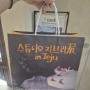 제주도 지브리 굿즈샵 후기｜꼭 사야 하는 쇼핑리스트 추천