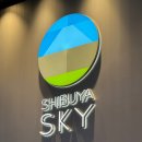 일몰전망대 | 도쿄 여행 필수 코스, 시부야 스카이 전망대 일몰 후기 (입장료·관람팁)