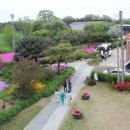 갈산목장 이미지