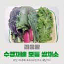 라움팜