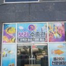 보라수족관