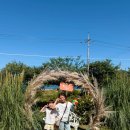 정들고펜션2 이미지