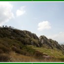 백아산 토종 이미지