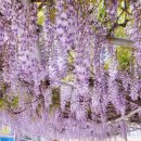 충남주유소 개방화장실 이미지