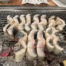 맛장어먹는날 이미지