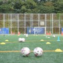 PEC스포츠아카데미 이미지