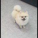 멍했냥 평택본점 이미지