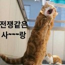 코인스타동전노래연습장 이미지