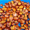 2025년10월3일(금) 파주 월롱산 이미지