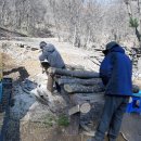 죽엽산농장 이미지