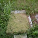 포항시북구58 이미지