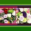 쌍송북로 이미지