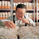 명예농장 이미지