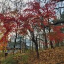 갈산사거리 | 목동 유랑기 (구일역 > 갈산둘레길 > 오목교역)