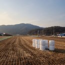 무릉도원면-23 이미지