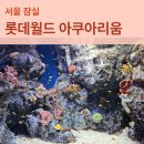 월드피쉬수족관 | 서울 잠실 롯데월드 아쿠아리움 오후권 할인 5살 아이와 방문후기