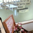 피노키5 이미지