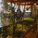 티원메드 이미지