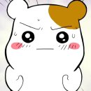 오픈짐 민락점 이미지