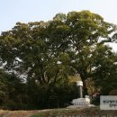 자당공원(송현) 이미지