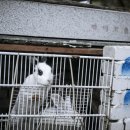가일리 공중화장실 | 애견동반가능과 맑은 계곡까지 갖춘 가평 밤벌오토캠핑장