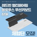 레드빈 - 성남시 분당구 중앙공원로31번길 42 | 레드빈