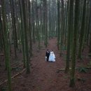 자연그대로 | 제주도 웨딩 스냅 촬영 후기｜자연을 그대로 담아낸 기무스냅 제주패키지