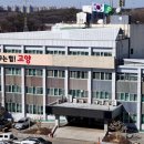 1091 Queen 이코노미퀸