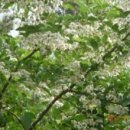 내서읍124 이미지