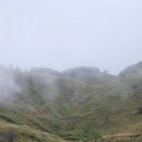 상순이 쉼터 | 민둥산을 위한 영월 캠핑🏕 [상순네 오토캠핑]