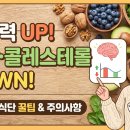 브니엘푸드 - 남양주시 | 기억력 좋아지는 음식 먹을 때 혈당·콜레스테롤 주의사항