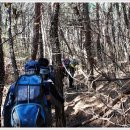 모전목장 이미지