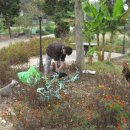 도화헌미술관 이미지