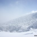 한라산 이미지