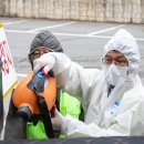 청양방역