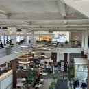 멍그니엘 애견호텔 경기광주점 | 경기광주 브런치카페 그랜마스 경기광주점 4개월 아이와 방문 후기