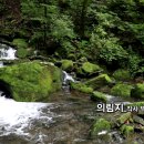 가을특집_발라드_의림지_작사 박복희_가수 연산홍_작 편곡 수노_기획 프로듀서 윤기영 이미지