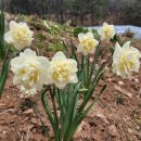 산촌펜션 이미지