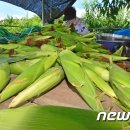 단구1리 이미지