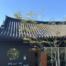 남천경로당 | 경주 디저트시네마 주말 방문 후기 크로와상 맛집