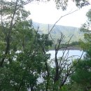 팔공산금화자연휴양림 이미지