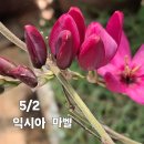 마벨 이미지