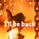 씨피코리아 | 올겨울 패딩 어때 D.D. Shell 어때 CP컴퍼니 어때~?🎶🎵