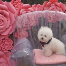 어썸스테이 이미지